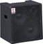 Eden EC210 180W 2x10" Bass Combo Amplifier Image 1