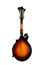 The Loar LM-520-VS Performer Series Gloss Vintage Sunburst F-Style Mandolin With Hand-Carved Top Image 4