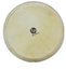 Latin Percussion LP961 12-1/2" Replacement Drum Head For Galaxy Giovanni Djembe Image 1