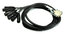 Whirlwind DBF1-M-025 25' Snake Cable With 8 XLRM To DB25-M Image 1