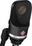 Neumann TLM 107 Large Diaphragm Multipattern Condenser Microphone Image 2