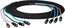 Laird Digital Cinema CES-EC8-25 25 Ft 4-Channel Tactical CAT5e Ethernet Snake With Neutrik Ethercon Connectors Image 1