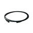 Lex DMX-5P-3 3' 5-pin DMX Cable Image 1