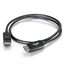 Cables To Go 54402 DisplayPort Cable With Latches 10 Ft M/M DisplayPort Cable, Black Image 1