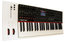 Nektar PANORAMA-P4 Panorama P4 49-Key USB Controller Image 2