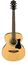 Ibanez IJVC50 JAMPACK Acoustic Guitar Package Image 1