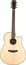 Breedlove SOLO-DREAD Solo Dreadnought Acoustic-Electric Guitar Image 3