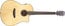 Breedlove DISC-DREAD-CE Discovery Dreadnought CE Acoustic-Cutaway Electric Guitar Image 4
