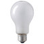 Eiko 150A/RS 150A/RS Bulb Image 1