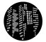 Apollo Design Technology ME-1229 Lit Buildings Steel Gobo Image 1