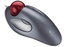 Logitech TRACKMAN-MARBLE Trackman Marble Mouse With Marble Trackball Image 1