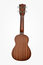 Kala KA-15S-S Soprano Ukulele With Spruce Top And Mahogany Back, Satin Finish Image 4