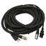 Elite Core PA50 50' XLR And AC Snake Cable For Powered Speakers Image 1