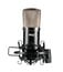 Apex Electronics Apex435B Wide Diaphragm Condensor Side Address Cardioid Microphone With Shockmount Image 1