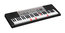 Casio LK-190 61-Key Portable Lighted Keyboard Image 1