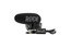 Rode VIDEOMIC-PRO-R+ Compact Directional On-Camera Microphone With Rycote Lyre Shock Mount Image 1