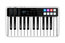 IK Multimedia IRIG-KEYS-I/O-25 IRig Keys I/O 25 25-Key Keyboard Controller For Mac, PC And IOS Image 1