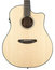 Breedlove PURSUIT-DREAD Pursuit Dreadnought Acoustic-Electric Guitar Image 1