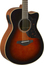 Yamaha AC1M Concert Cutaway - Sunburst Acoustic-Electric Guitar, Sitka Spruce Top, Mahogany Back And Sides Image 2