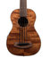 Kala UBASS-EM-FS U-Bass Exotic Mahogany Fretted Bass Ukulele With Case Image 1