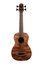 Kala UBASS-EM-FS U-Bass Exotic Mahogany Fretted Bass Ukulele With Case Image 3