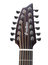 Breedlove PURSUIT-12STR-2 Pursuit Concert 12 String CE Acoustic Guitar With Sitka Spruce Top And Mahogany Back/Sides Image 2