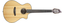 Breedlove PURSUIT-NYLON-2 Pursuit Concert Nylon CE Acoustic Guitar With Cedar Top And Mahogany Back/Sides Image 1