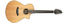 Breedlove SOLO-12STR Solo 12-String Solo 12-String Acoustic-Electric Guitar Image 1