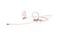 DPA 4288-DC-F-F34-LH 4288 Cardioid Flex Headset Mic With 120mm Boom And 1/8" Mini-Jack, Beige Image 1