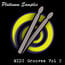 Platinum Samples Platinum Grooves 2 Lib. Multi-Format MIDI Groove Library [download] Image 1