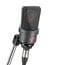 Neumann TLM 103 Stereo Set Large Diaphragm Cardioid Condenser Microphones, Stereo Pair Image 4