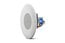 JBL CSS8004 4" Full-Range Ceiling Speaker, 5W Image 2