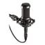 Audio-Technica AT2035 Large-Diaphragm Cardioid Condenser Microphone Image 1