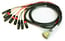 Whirlwind DBF3-FM-010 10' Snake Cable With 4 XLRM, 4 XLRF To DB25 MY8AE Image 1