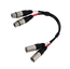 Datavideo CB-41 Dual Connector M-F 3-Pin XLR Audio Cable, 14" Image 1