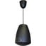 TOA Q-PE-304BK 5" Pendant Speaker System, 30W, Black Image 1