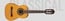 Ibanez GA1-IBANEZ Classical 1/2 Size Acoustic Guitar Image 1