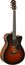 Yamaha AC3M Concert Cutaway - Sunburst Acoustic-Electric Guitar, Sitka Spruce Top, Solid Mahogany Back And Sides Image 1