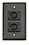Whirlwind WP1B/2FW Single Gang Wallplate With 2 XLRF Connectors, Black Image 1