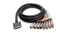 Pro Co DD8YXMXF-10 10' AES/EBU Snake With DB25, 4 XLRM And 4 XLRF Image 1