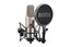 Rode NT2A Large Capsule Studio Condenser Microphone Image 1