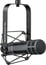 Electro-Voice RE20-BLACK Studio Broadcast Microphone With Variable-D, Black Image 3