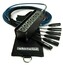 Whirlwind ME-6-M-NR-050 50' Mini 6 Elite 6-Channel XLR Snake With No Returns Image 1