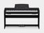 Casio PX770 Digital Piano, 88 Key Image 2