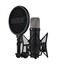 Rode NT1 5th Generation Hybrid Studio Condenser Microphone Image 1