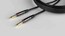 Gator GCWH-INS-10 CableWorks Headliner Series 10' St To St Instrument Cable Image 1