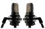 Warm Audio WA-14 Stereo Pair Sequential Stereo Set Of The WA-14 Microphone Image 2