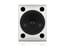 Tannoy VXP12-WH [Restock Item] 12" 2-Way Dual-Concentric Powered Speaker, White Image 4