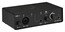 Steinberg IXO12 2-In/2-Out USB2.0 Type C Audio Interface With One Preamp Image 3