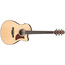 Ibanez AAM50CE Advanced Auditorium Acoustic-electric Guitar Image 1